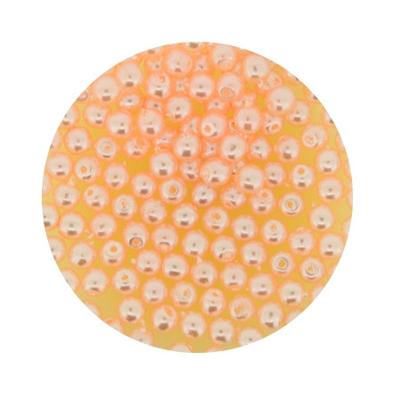 Pearl Renaissance, 3mm, 120 Stück, apricot